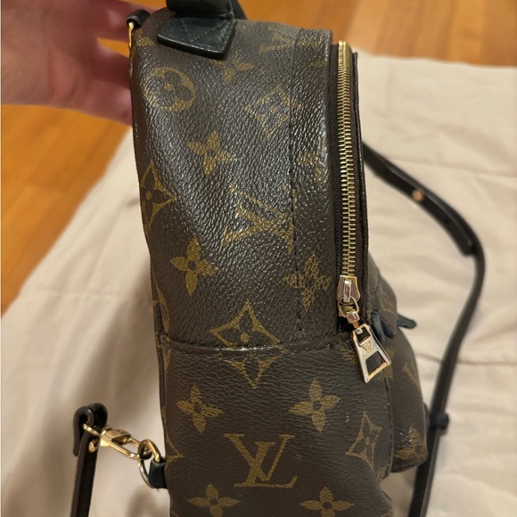 Louis Vuitton Palm Springs Mini - Picture 1 of 4
